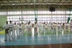 Egzamin-w-Kozienicach-15-stycznia-2012-r_576387