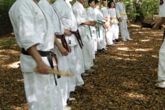 Gory-Swietokrzyskie-1-pazdziernika-2011-r_542282