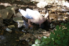 Gory-Swietokrzyskie-1-pazdziernika-2011-r_549661