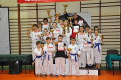Mikolajkowy-Turniej-Oyama-Karate-w-konkurencji-kata-Garbatka--Letnisko-8122012-_731374