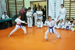Mikolajkowy-Turniej-Oyama-Karate-w-konkurencji-kata-Garbatka--Letnisko-8122012-_732385