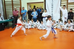 Mikolajkowy-Turniej-Oyama-Karate-w-konkurencji-kata-Garbatka--Letnisko-8122012-_733720