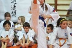 Mikolajkowy-Turniej-Oyama-Karate-w-konkurencji-kata-Garbatka--Letnisko-8122012-_734577