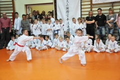 Mikolajkowy-Turniej-Oyama-Karate-w-konkurencji-kata-Garbatka--Letnisko-8122012-_734580