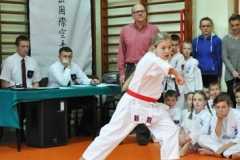 Mikolajkowy-Turniej-Oyama-Karate-w-konkurencji-kata-Garbatka--Letnisko-8122012-_734893