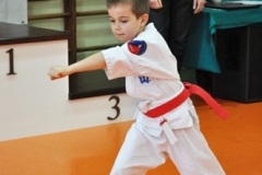Mikolajkowy-Turniej-Oyama-Karate-w-konkurencji-kata-Garbatka--Letnisko-8122012-_735049