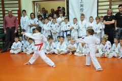 Mikolajkowy-Turniej-Oyama-Karate-w-konkurencji-kata-Garbatka--Letnisko-8122012-_735179