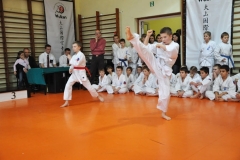 Mikolajkowy-Turniej-Oyama-Karate-w-konkurencji-kata-Garbatka--Letnisko-8122012-_735197
