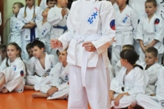 Mikolajkowy-Turniej-Oyama-Karate-w-konkurencji-kata-Garbatka--Letnisko-8122012-_735440