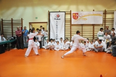 Mikolajkowy-Turniej-Oyama-Karate-w-konkurencji-kata-Garbatka--Letnisko-8122012-_735637