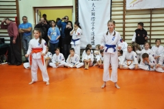 Mikolajkowy-Turniej-Oyama-Karate-w-konkurencji-kata-Garbatka--Letnisko-8122012-_735711
