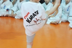 Mikolajkowy-Turniej-Oyama-Karate-w-konkurencji-kata-Garbatka--Letnisko-8122012-_735834