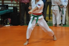 Mikolajkowy-Turniej-Oyama-Karate-w-konkurencji-kata-Garbatka--Letnisko-8122012-_73604