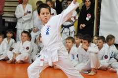 Mikolajkowy-Turniej-Oyama-Karate-w-konkurencji-kata-Garbatka--Letnisko-8122012-_73625