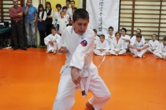 Mikolajkowy-Turniej-Oyama-Karate-w-konkurencji-kata-Garbatka--Letnisko-8122012-_736367