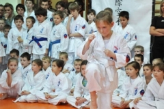 Mikolajkowy-Turniej-Oyama-Karate-w-konkurencji-kata-Garbatka--Letnisko-8122012-_736558