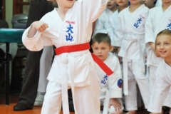 Mikolajkowy-Turniej-Oyama-Karate-w-konkurencji-kata-Garbatka--Letnisko-8122012-_737379