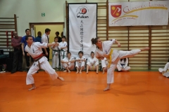 Mikolajkowy-Turniej-Oyama-Karate-w-konkurencji-kata-Garbatka--Letnisko-8122012-_737626