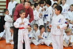 Mikolajkowy-Turniej-Oyama-Karate-w-konkurencji-kata-Garbatka--Letnisko-8122012-_73791