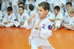 Mikolajkowy-Turniej-Oyama-Karate-w-konkurencji-kata-Garbatka--Letnisko-8122012-_738257