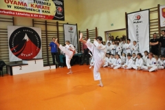 Mikolajkowy-Turniej-Oyama-Karate-w-konkurencji-kata-Garbatka--Letnisko-8122012-_738262