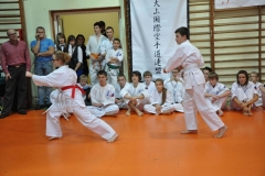 Mikolajkowy-Turniej-Oyama-Karate-w-konkurencji-kata-Garbatka--Letnisko-8122012-_739342