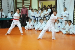 Mikolajkowy-Turniej-Oyama-Karate-w-konkurencji-kata-Garbatka--Letnisko-8122012-_739726