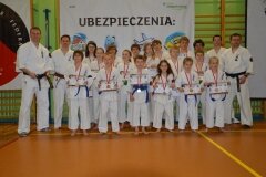 Mistrzostwa-Kozienic-Oyama-Karate-w-konkurencji-kata-19042013_813107