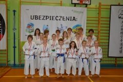 Mistrzostwa-Kozienic-Oyama-Karate-w-konkurencji-kata-19042013_813395