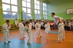 Mistrzostwa-Kozienic-Oyama-Karate-w-konkurencji-kata-19042013_814063