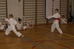I-Mistrzostwa-Pionek-Oyama-Karate-w-konkurencji-kata_602466