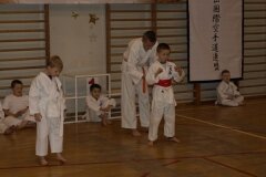 I-Mistrzostwa-Pionek-Oyama-Karate-w-konkurencji-kata_606424