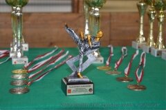 12513669_814845558625489_795045610104970162_o