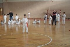 12604645_814846738625371_6058388966083981669_o