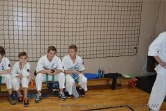 12604869_814846041958774_4297078234018733777_o