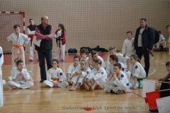 12604876_814846935292018_5640401659034384223_o