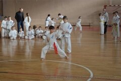 12605329_814846735292038_6514587349863033319_o