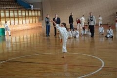 12622242_814848195291892_6794241959767475157_o