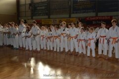 12622259_814846088625436_5314248196546285314_o