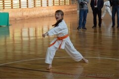 12640323_814848461958532_974762884175360669_o