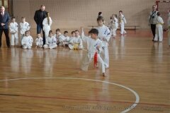 12646792_814846805292031_5961928828478428037_o