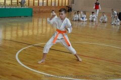 12646796_814850285291683_3804294409208274513_o