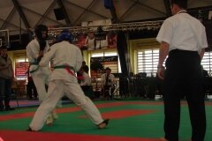 Mistrzostwa-Polski-Oyama-Karate-w-konkurencji-kumite---13-14-kwietnia-2013-r_784860