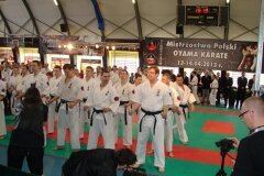 Mistrzostwa-Polski-Oyama-Karate-w-konkurencji-kumite---13-14-kwietnia-2013-r_787552