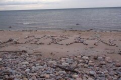 Jastrzebia-Gora-2012_687617