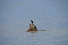 Jastrzebia-Gora-2012_688112