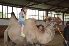 Oboz-Ustronie-Morskie-2013_855644