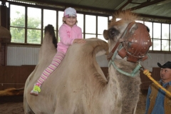 Oboz-Ustronie-Morskie-2013_856644