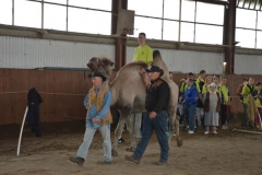 Oboz-Ustronie-Morskie-2013_858801