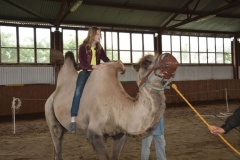 Oboz-Ustronie-Morskie-2013_859792